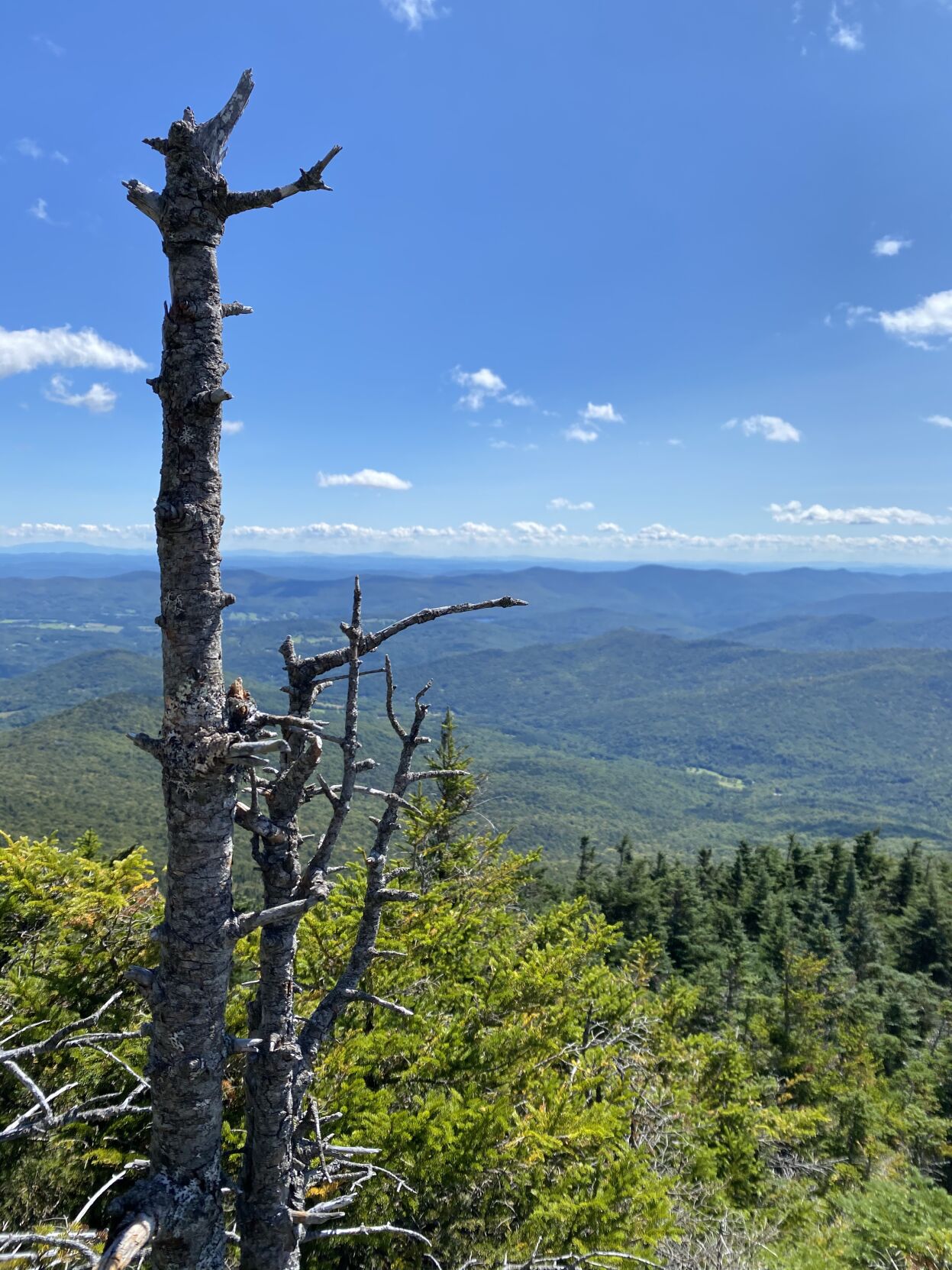Mount Abraham - summer